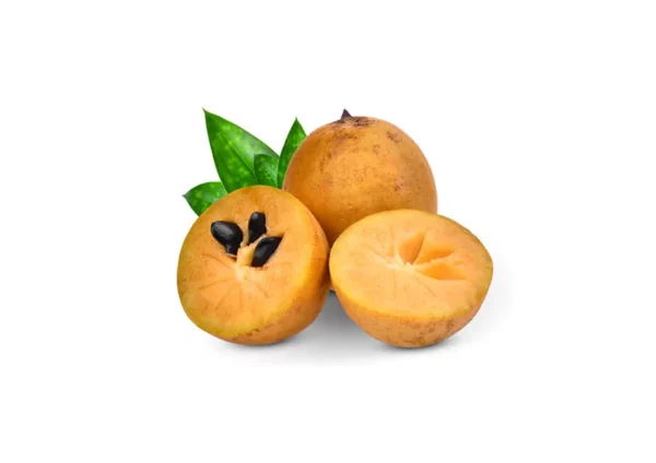 Buy organic sapota fruit in Kerala – fresh sapodilla fruit.