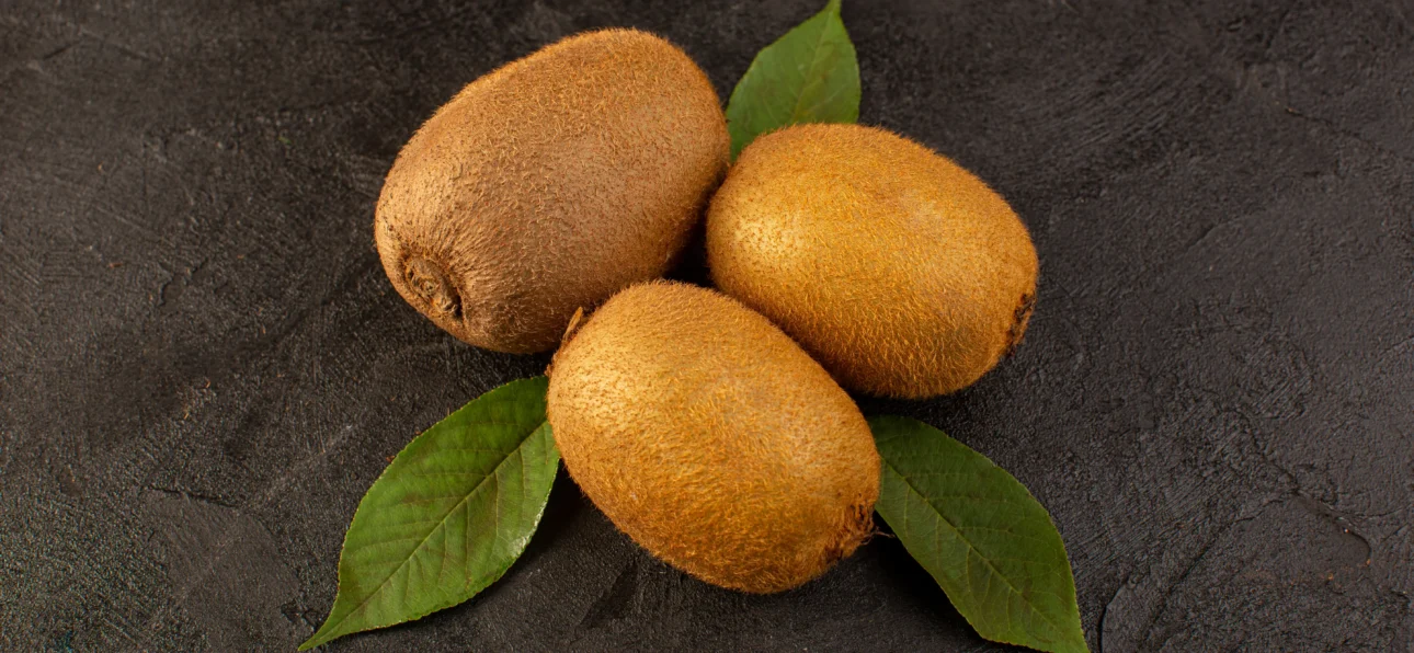 Fresh Chikoo (Sapota) fruits from Kales Agro – naturally sweet and farm fresh