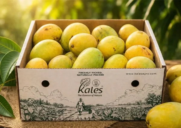 Alfonsa Mango – Premium Farm Fresh (3KG Box)