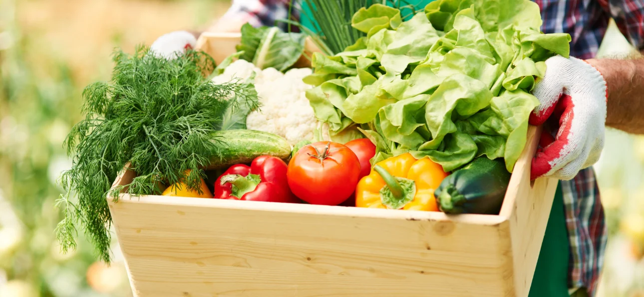 Fresh farm products including fruits and vegetables arranged naturally for online delivery in India