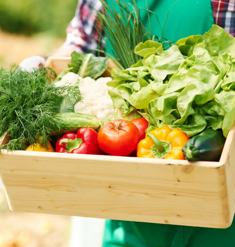 Fresh farm products including fruits and vegetables arranged naturally for online delivery in India