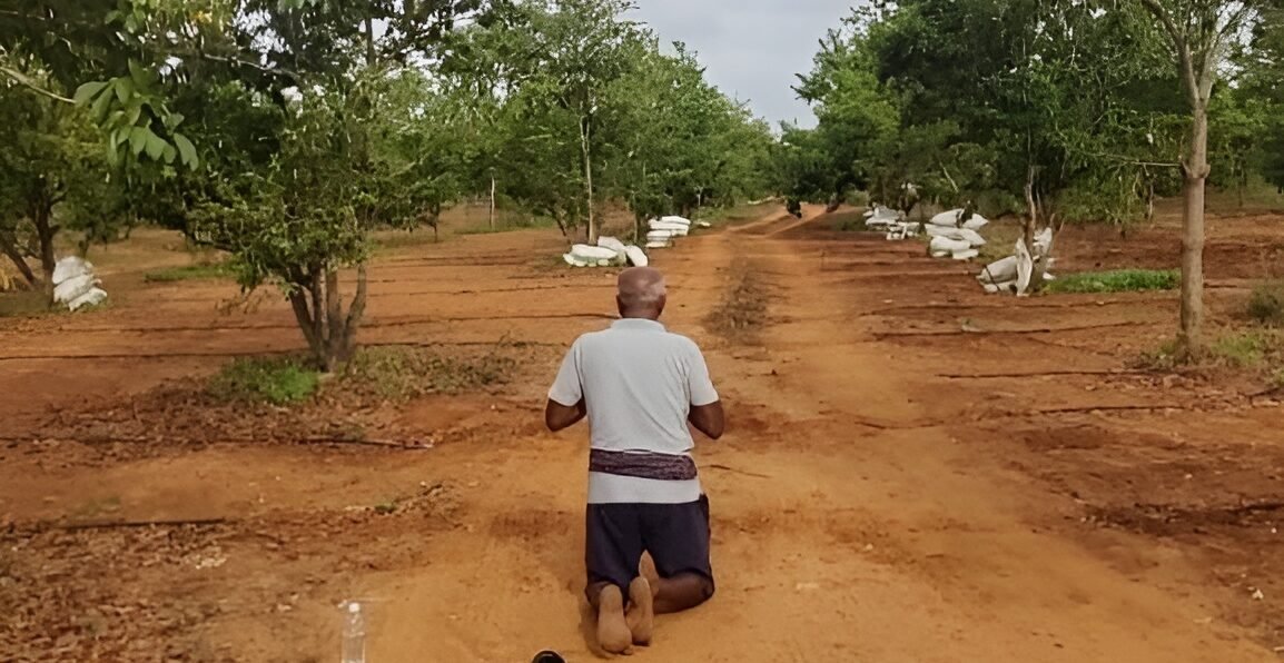 Veteran Farmer in Kerala at Kales Agro Practicing Sustainable Farming