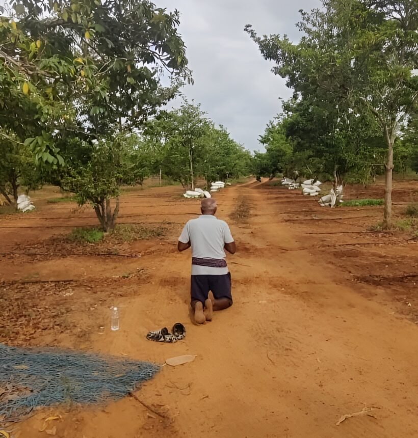 Veteran Farmer in Kerala at Kales Agro Practicing Sustainable Farming